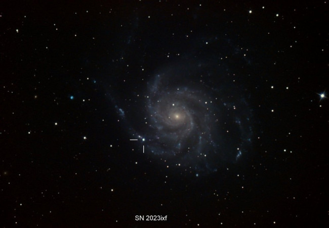 M101traitmarkred.jpg