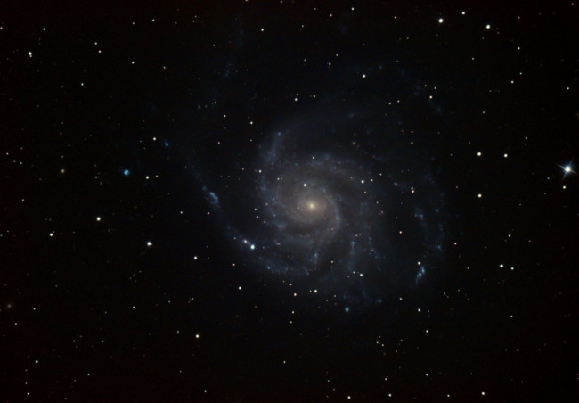 M101trait.jpg